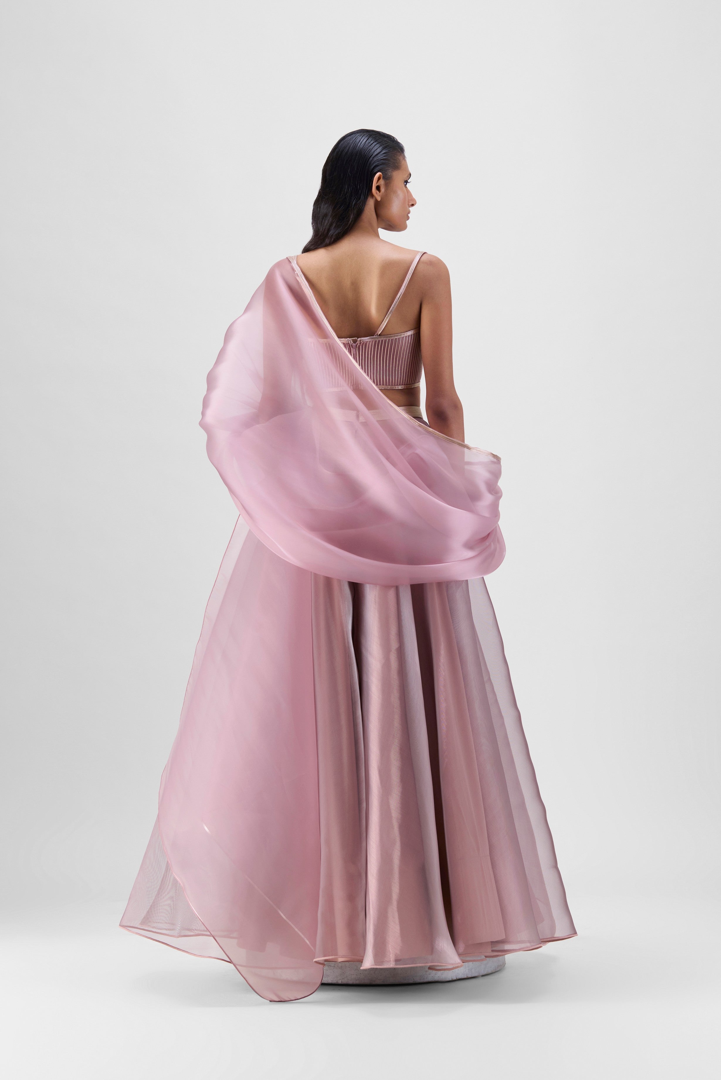 MESH CAPE AND SKIRT WITH CORDED BUSTIER