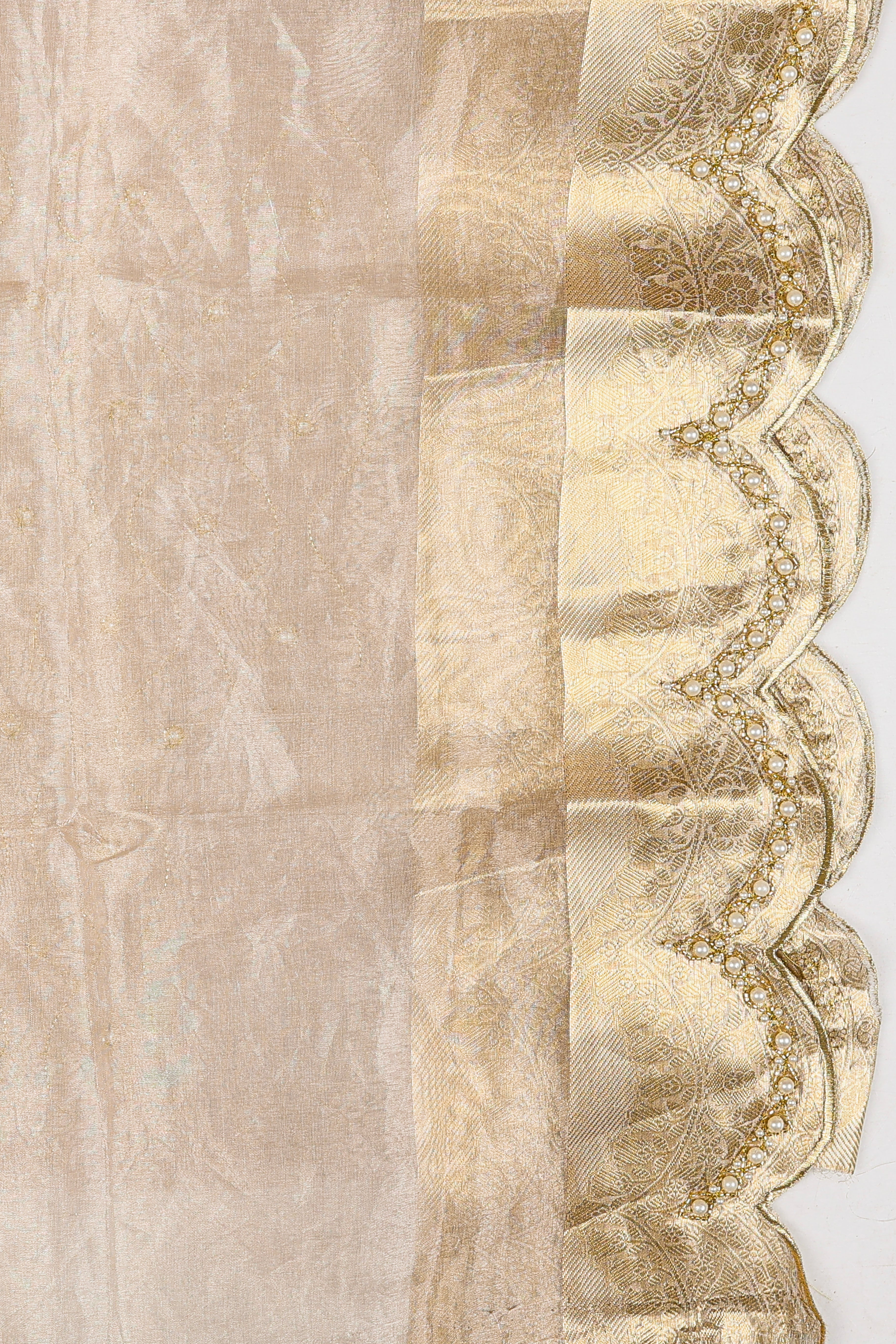 Silver Pure Tissue Silk Banarasi Hand Embroidered Saree