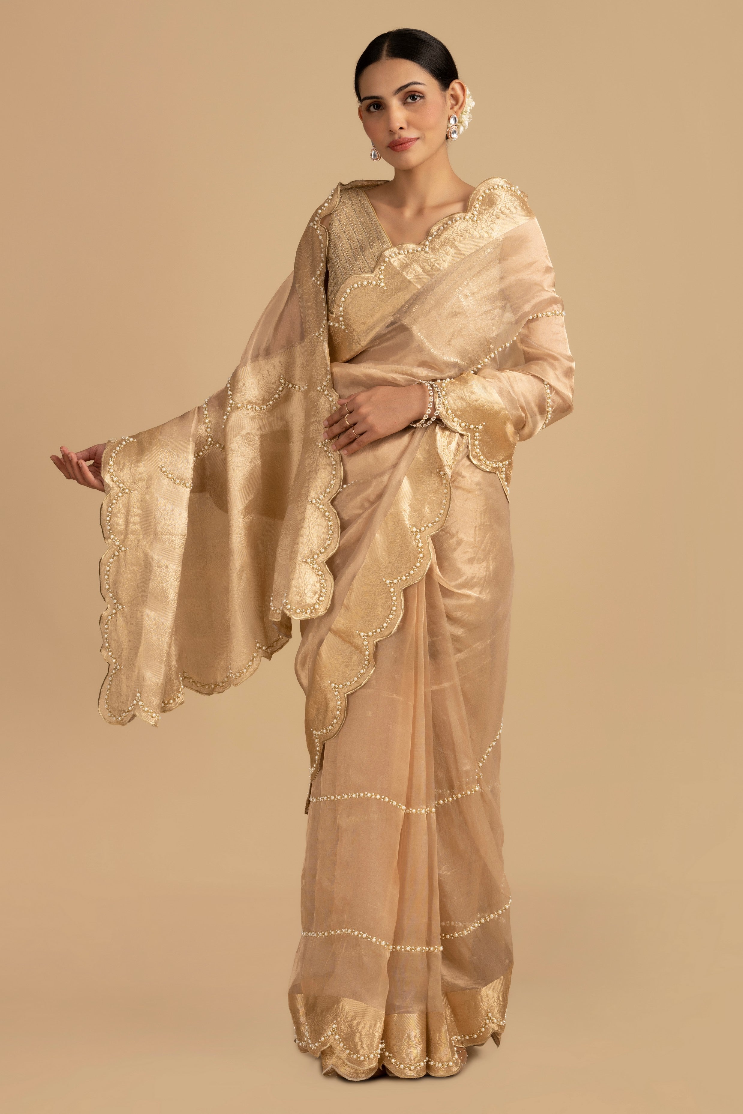 Golden Pure Tissue Silk Banarasi Hand Embroidered Saree