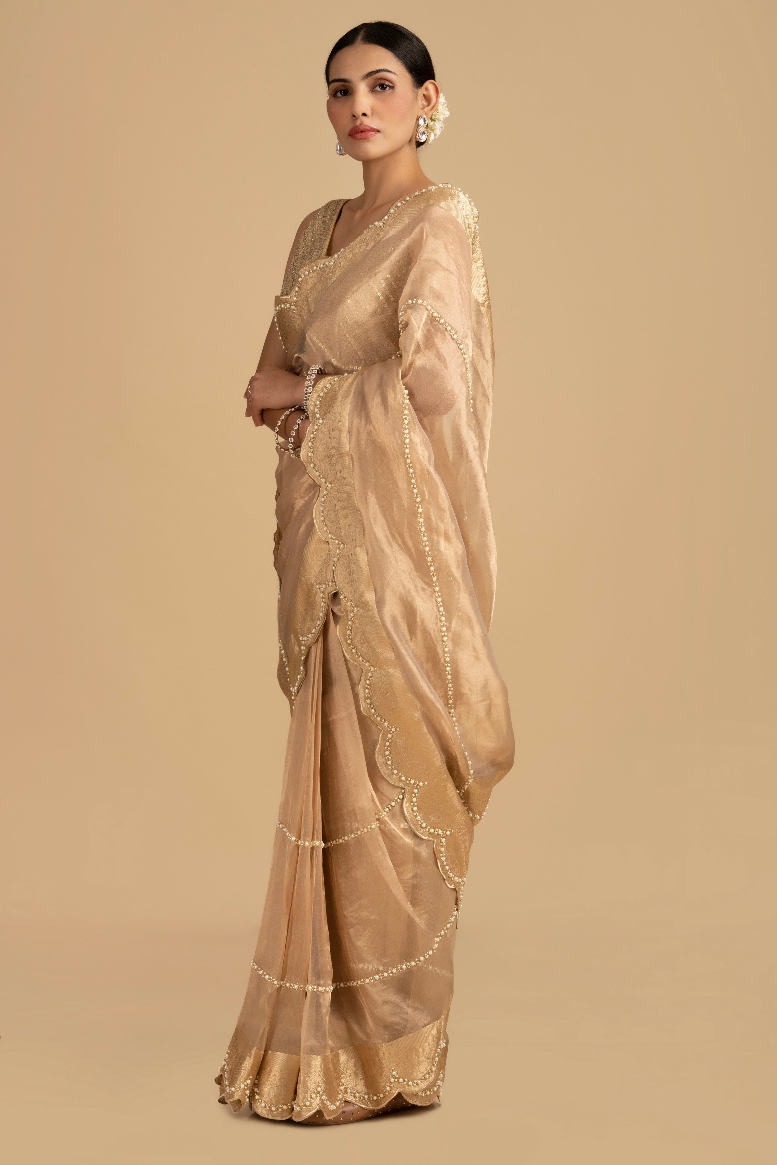 Golden Pure Tissue Silk Banarasi Hand Embroidered Saree