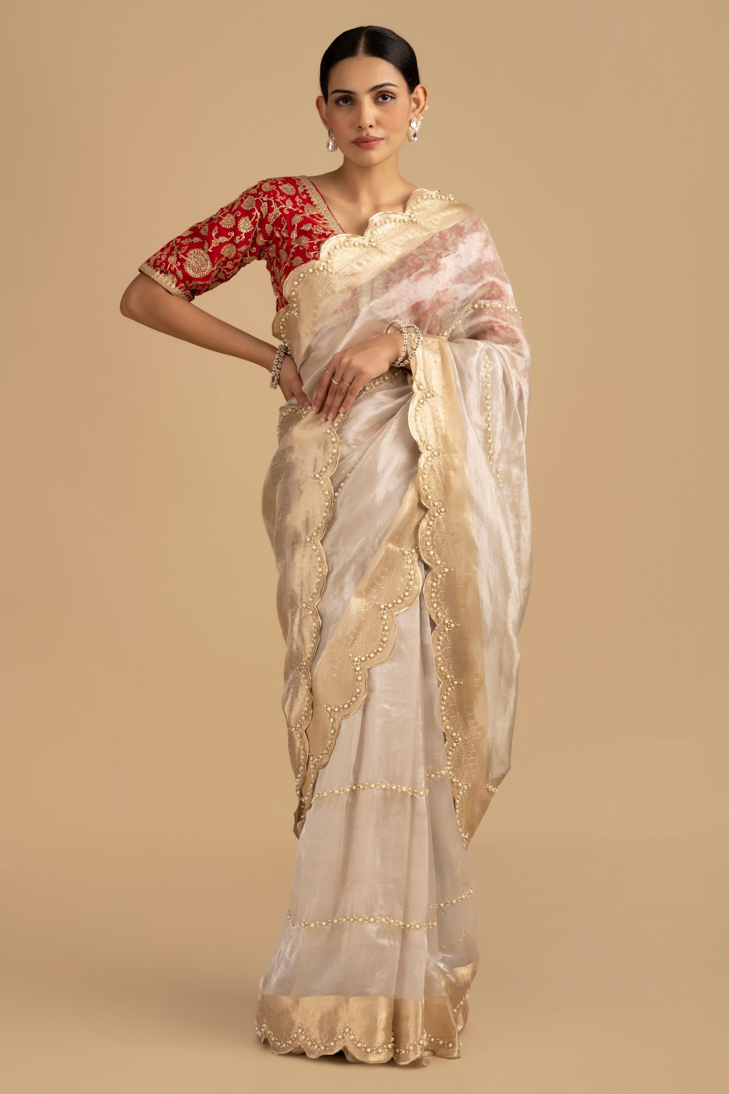 Silver Pure Tissue Silk Banarasi Hand Embroidered Saree