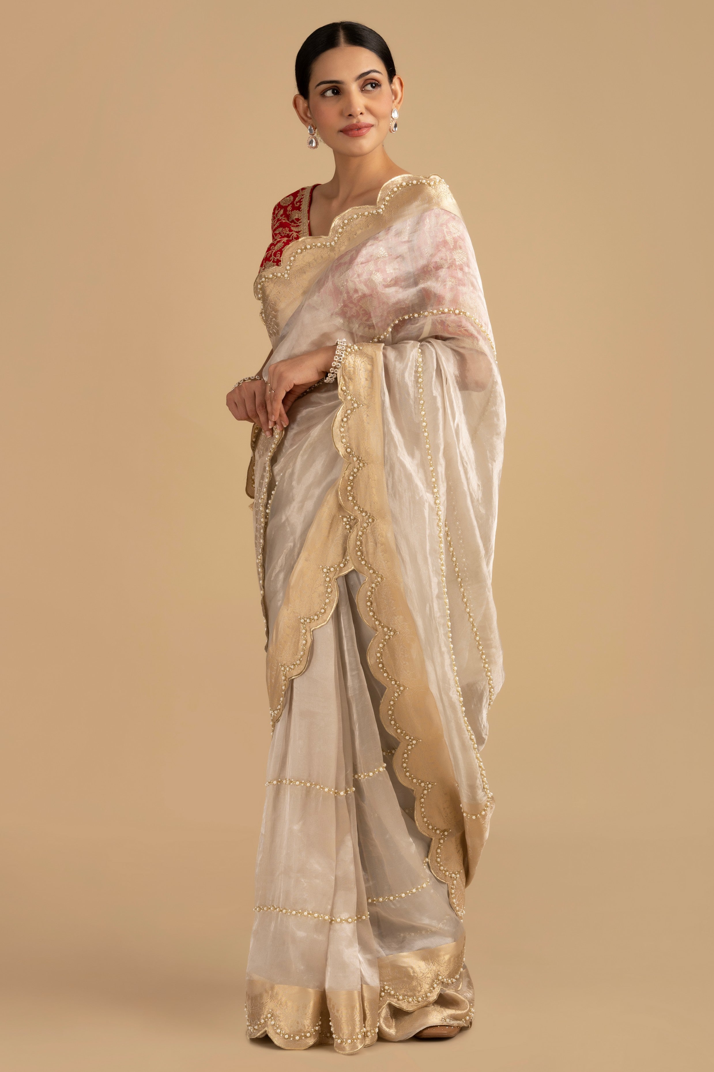 Silver Pure Tissue Silk Banarasi Hand Embroidered Saree