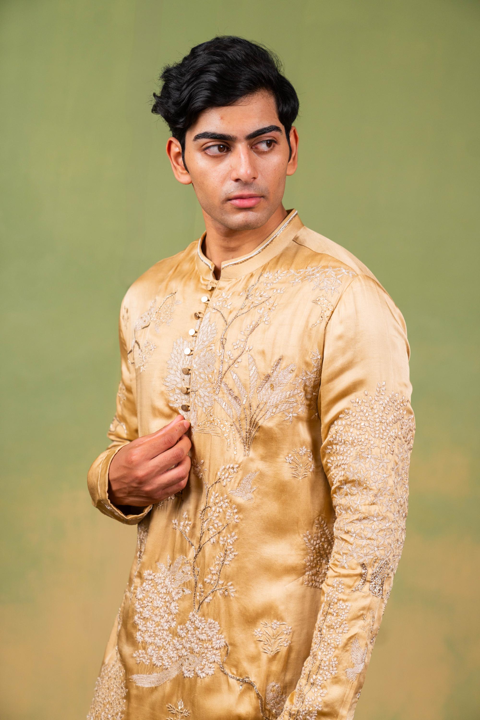 ZARI BAAGH