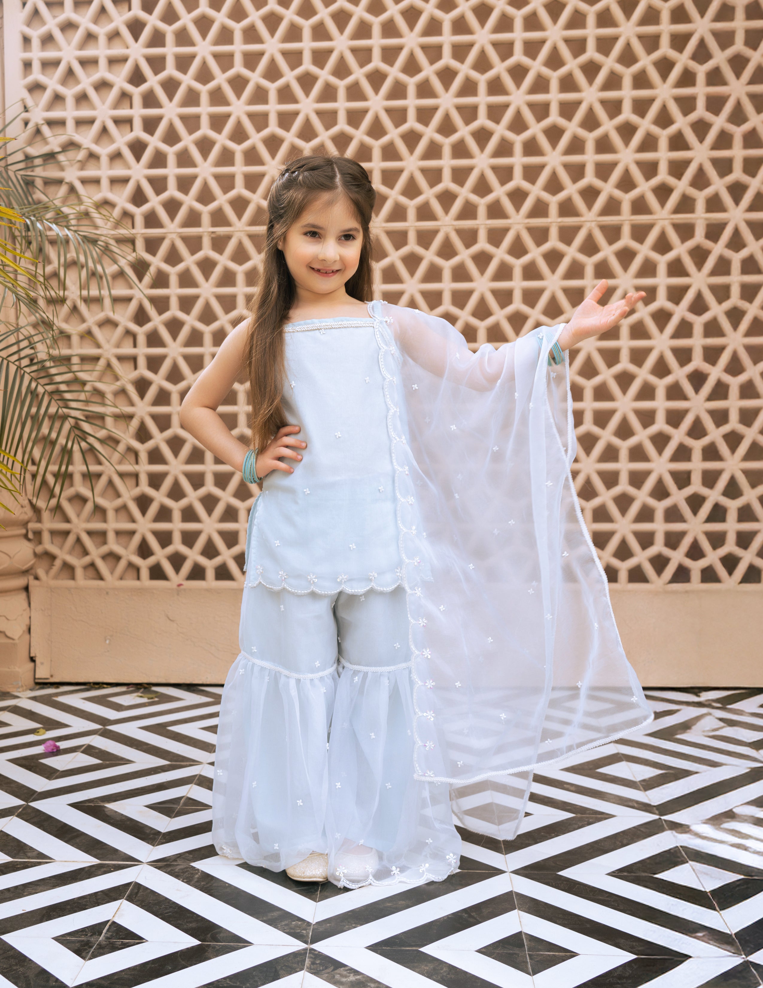 Sky Blue Embroidered Organza Kurti Sharara