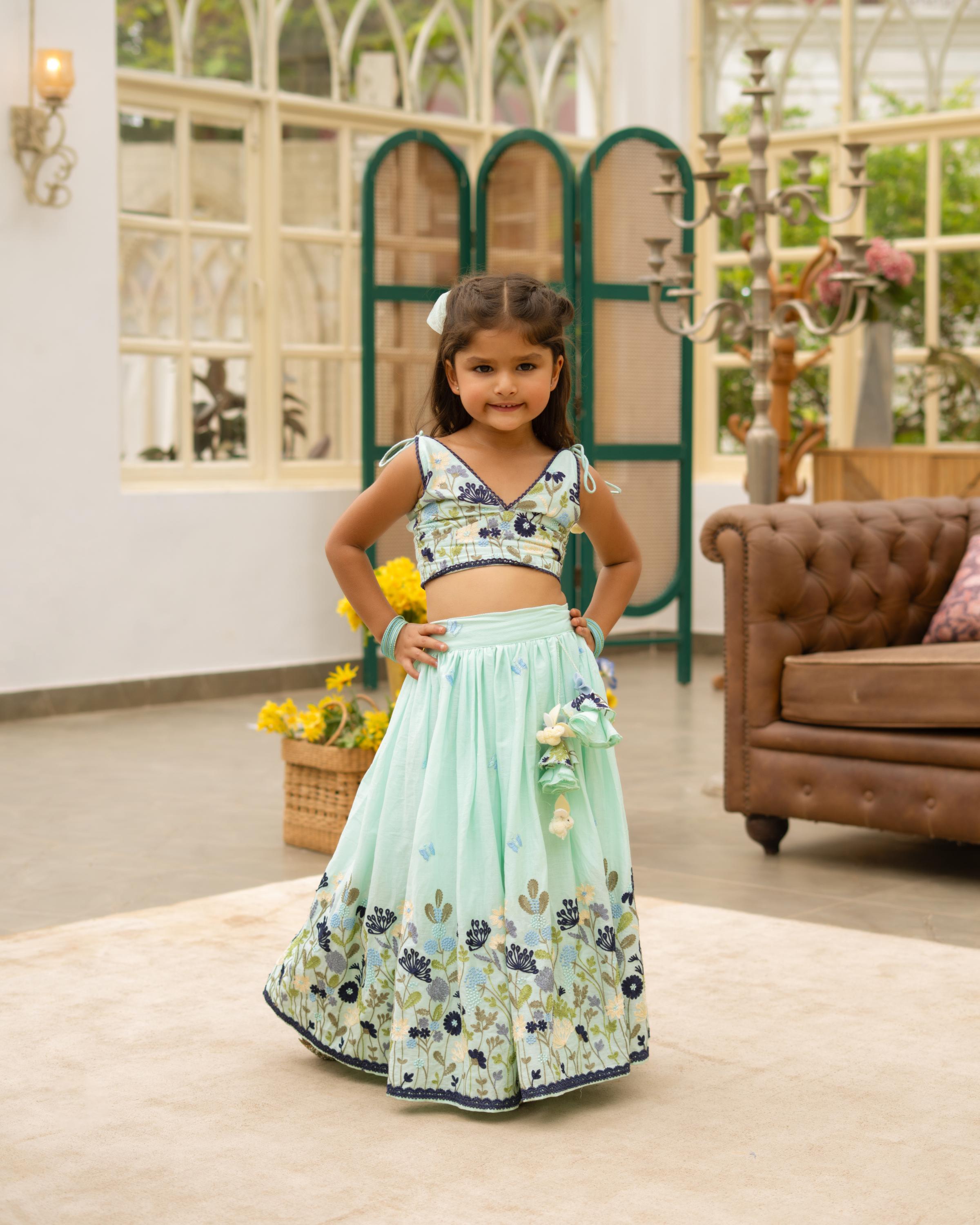 Blue Embroiderd Lehenga Choli Set