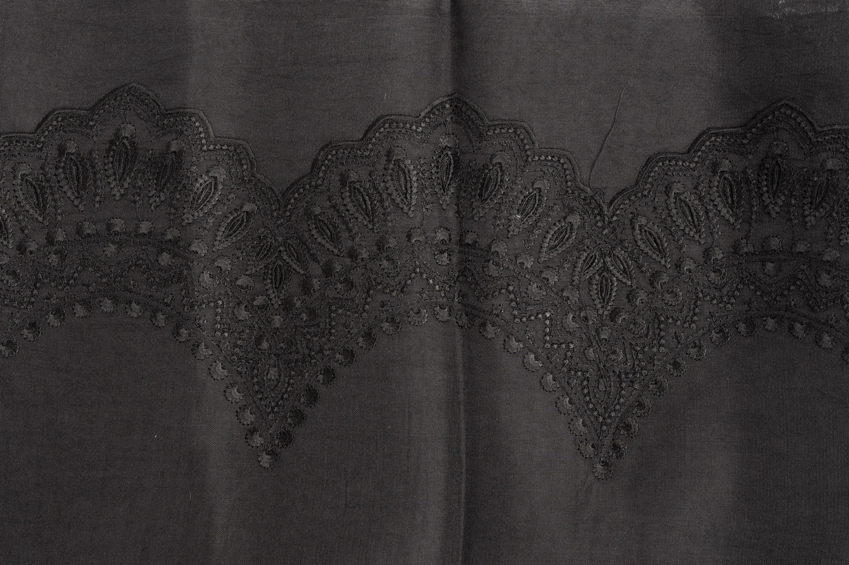 Black pure Organza Silk Saree with chikankari Hand Embroidery