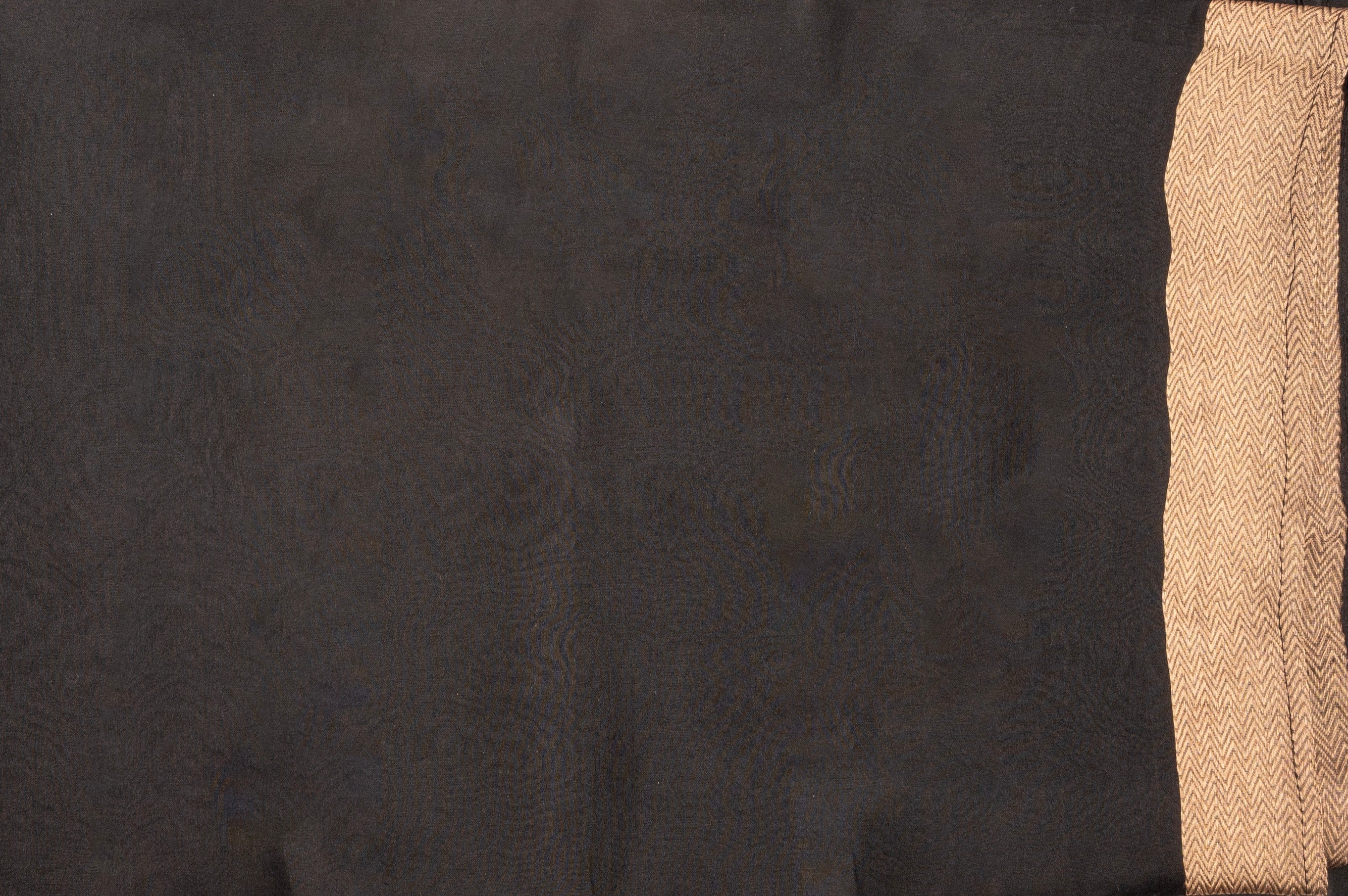 Black Pure Organza Silk Banarasi Handloom Saree