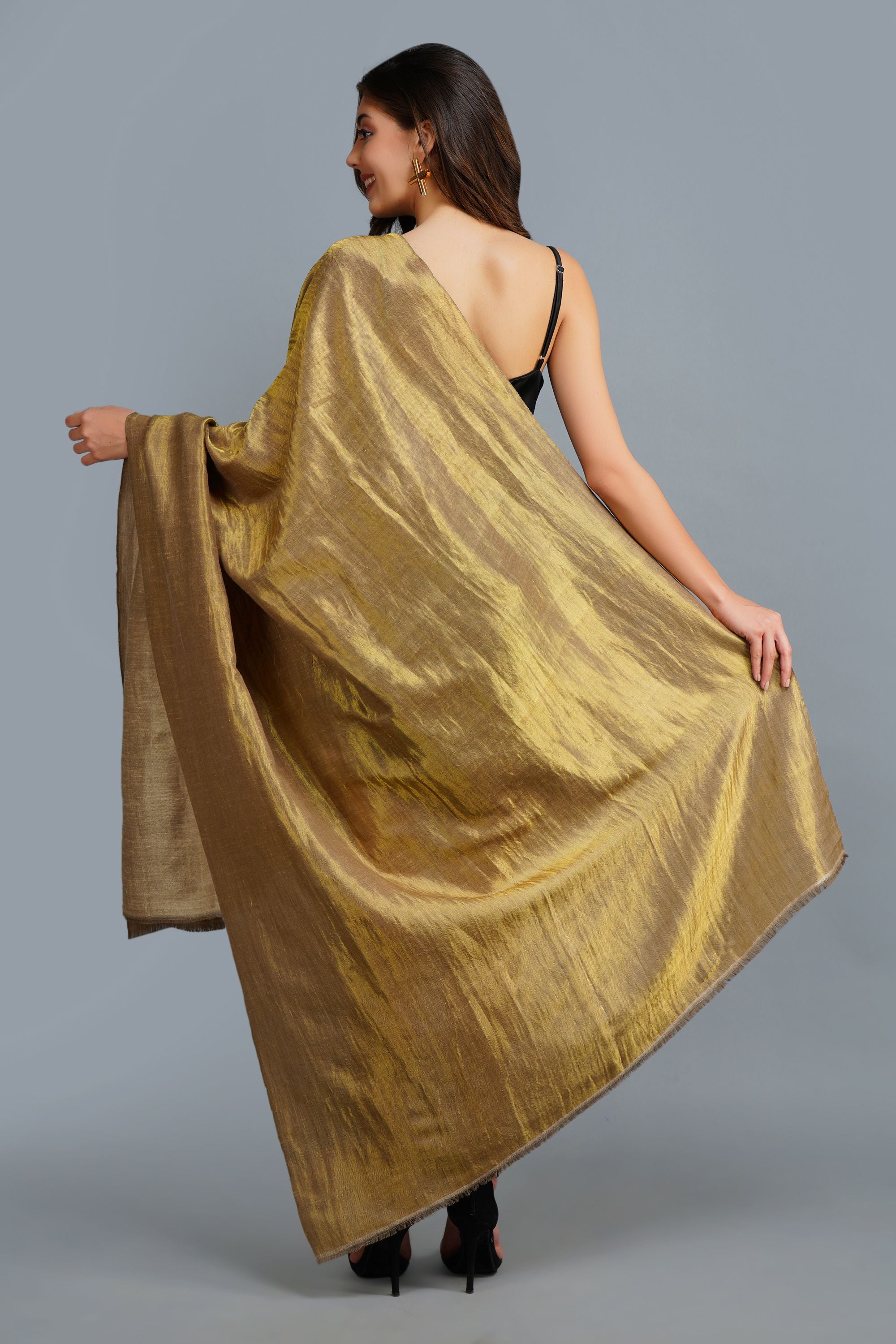 Golden Beige Reversible Handwoven Zari Shawl