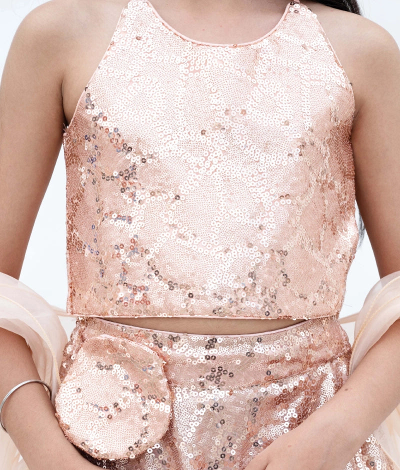 Peach Sequins Embroidery Lehenga Choli Set