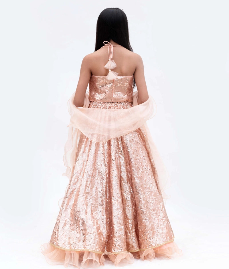 Peach Sequins Embroidery Lehenga Choli Set