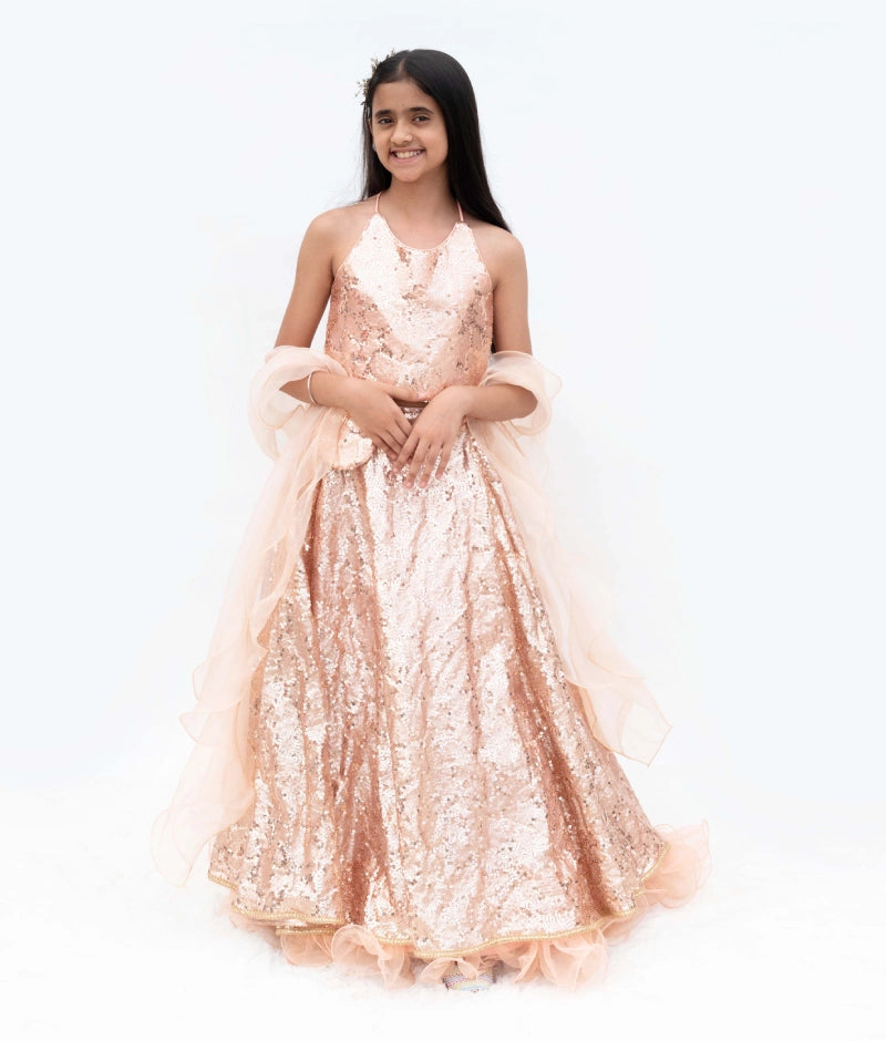 Peach Sequins Embroidery Lehenga Choli Set