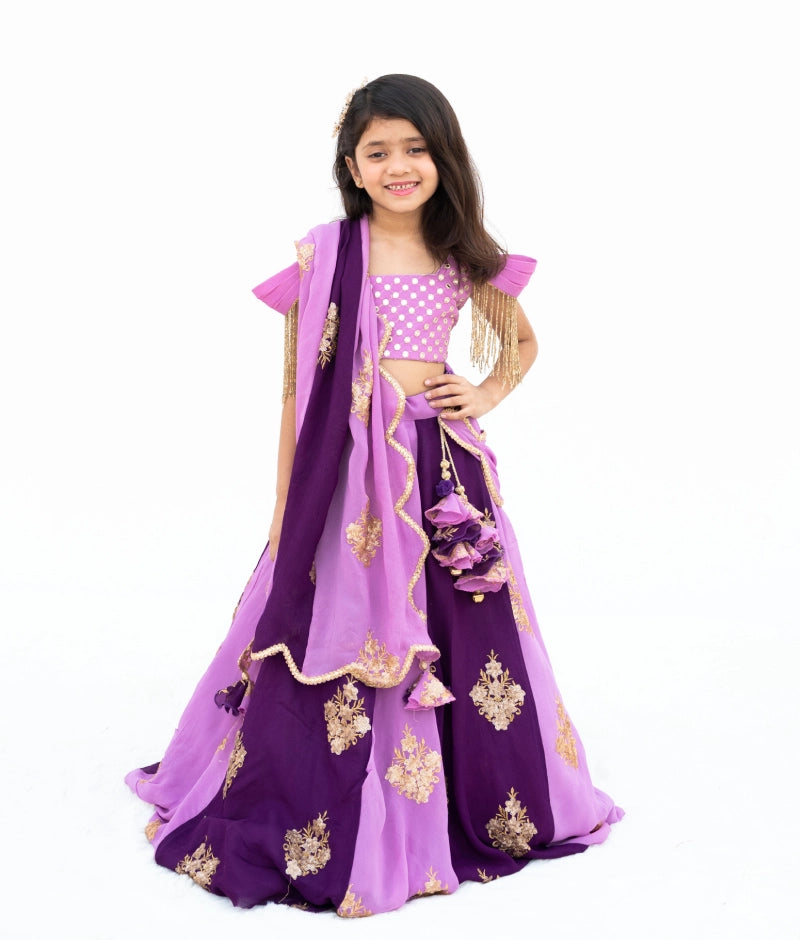 Lilac & Purple Embroidered Lehenga Set
