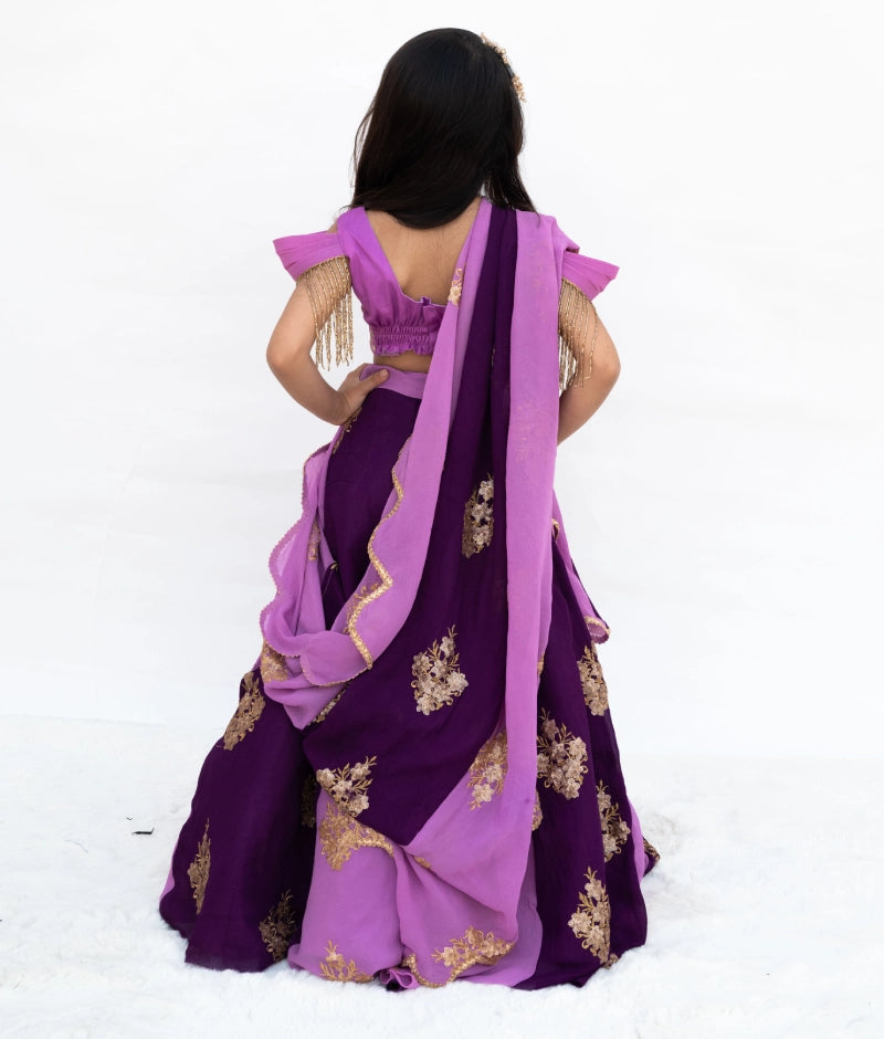 Lilac & Purple Embroidered Lehenga Set