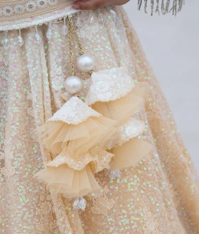 Beige Ombre Lehenga Choli Set