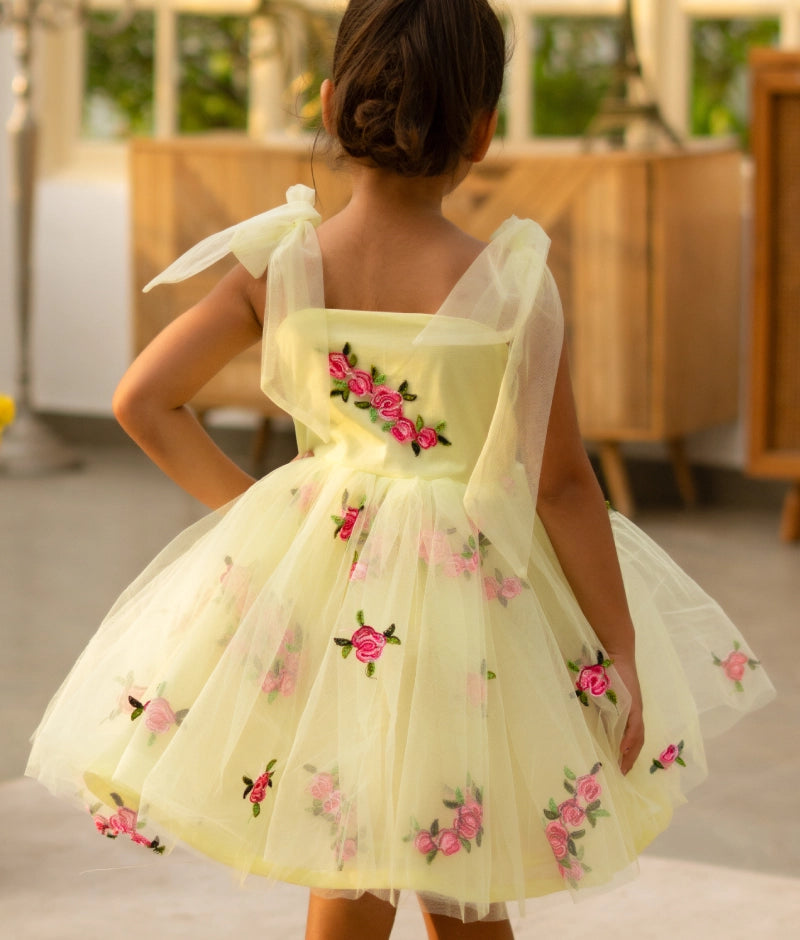 Green Embroidered Net Frock