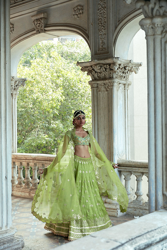 Tulua Lehenga Set