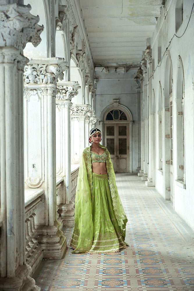 Tulua Lehenga Set