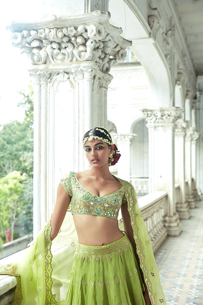 Tulua Lehenga Set