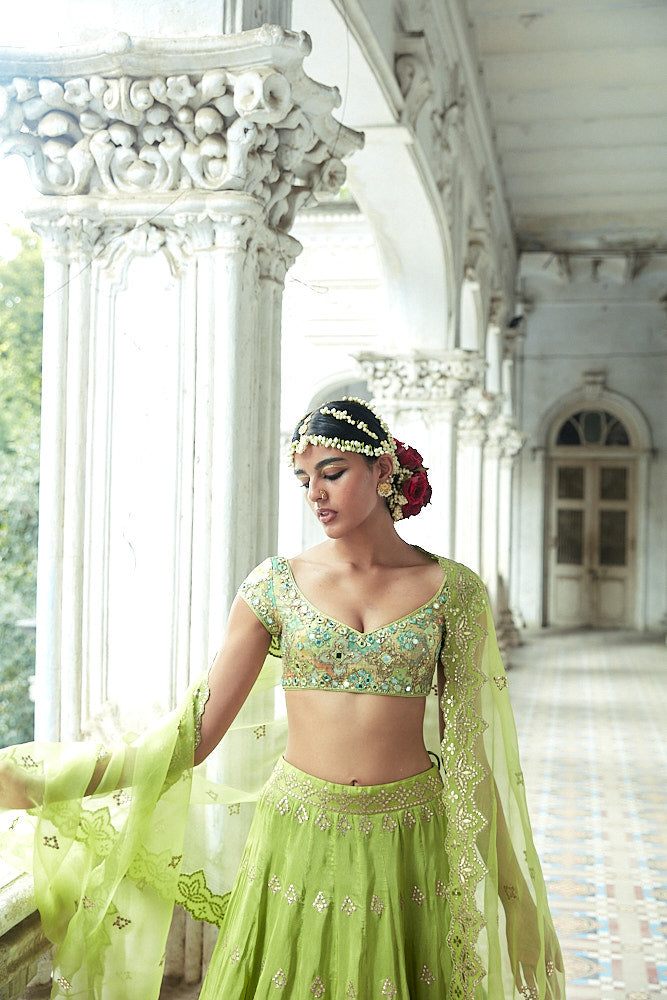 Tulua Lehenga Set
