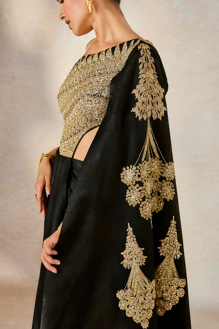 The Kala-Khatta Saree Gown