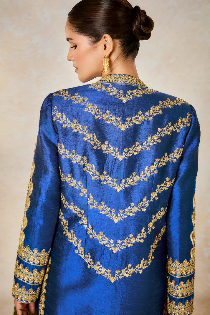 The Neel Bahar Saree