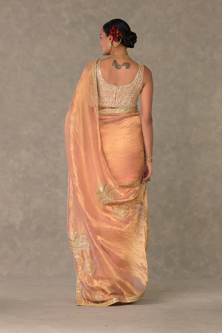 Shahi Tukda Tissue Saree