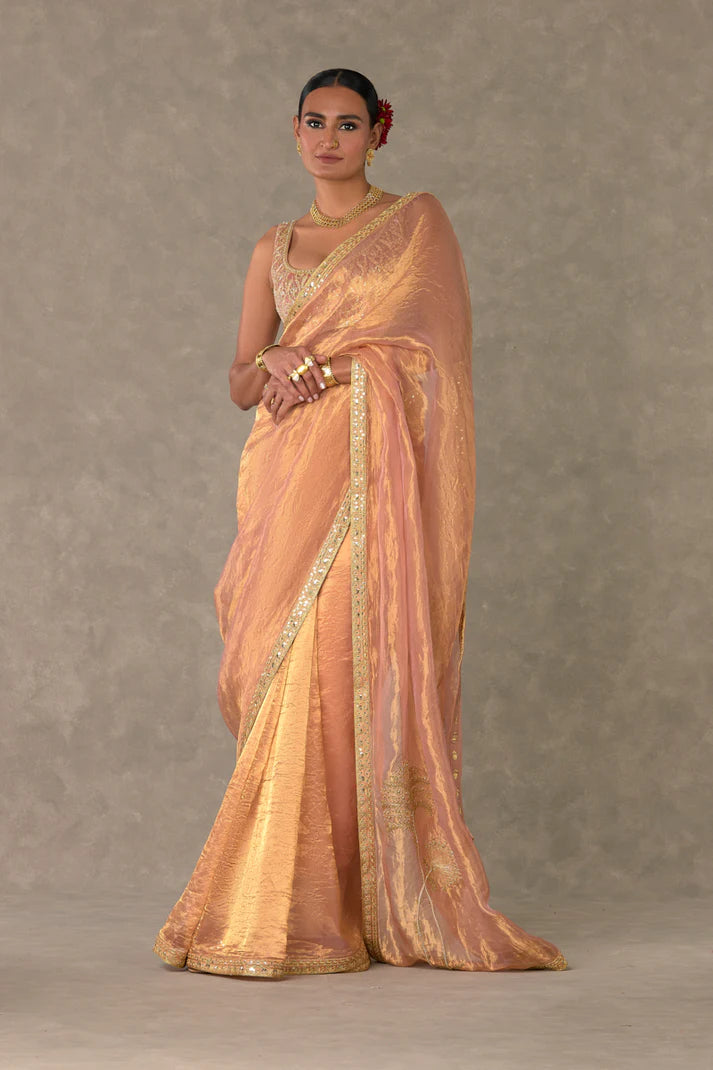 Shahi Tukda Tissue Saree
