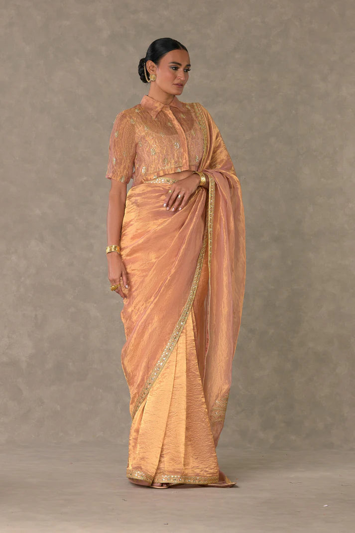Shahi Tukda Tissue Saree