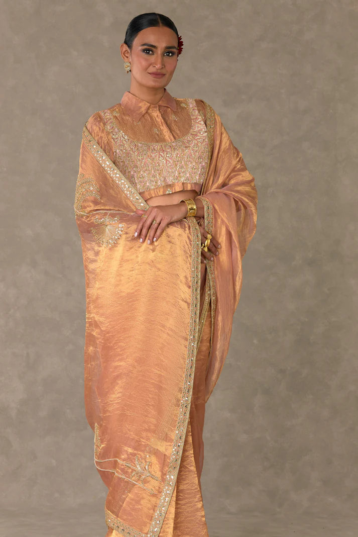 Shahi Tukda Tissue Saree