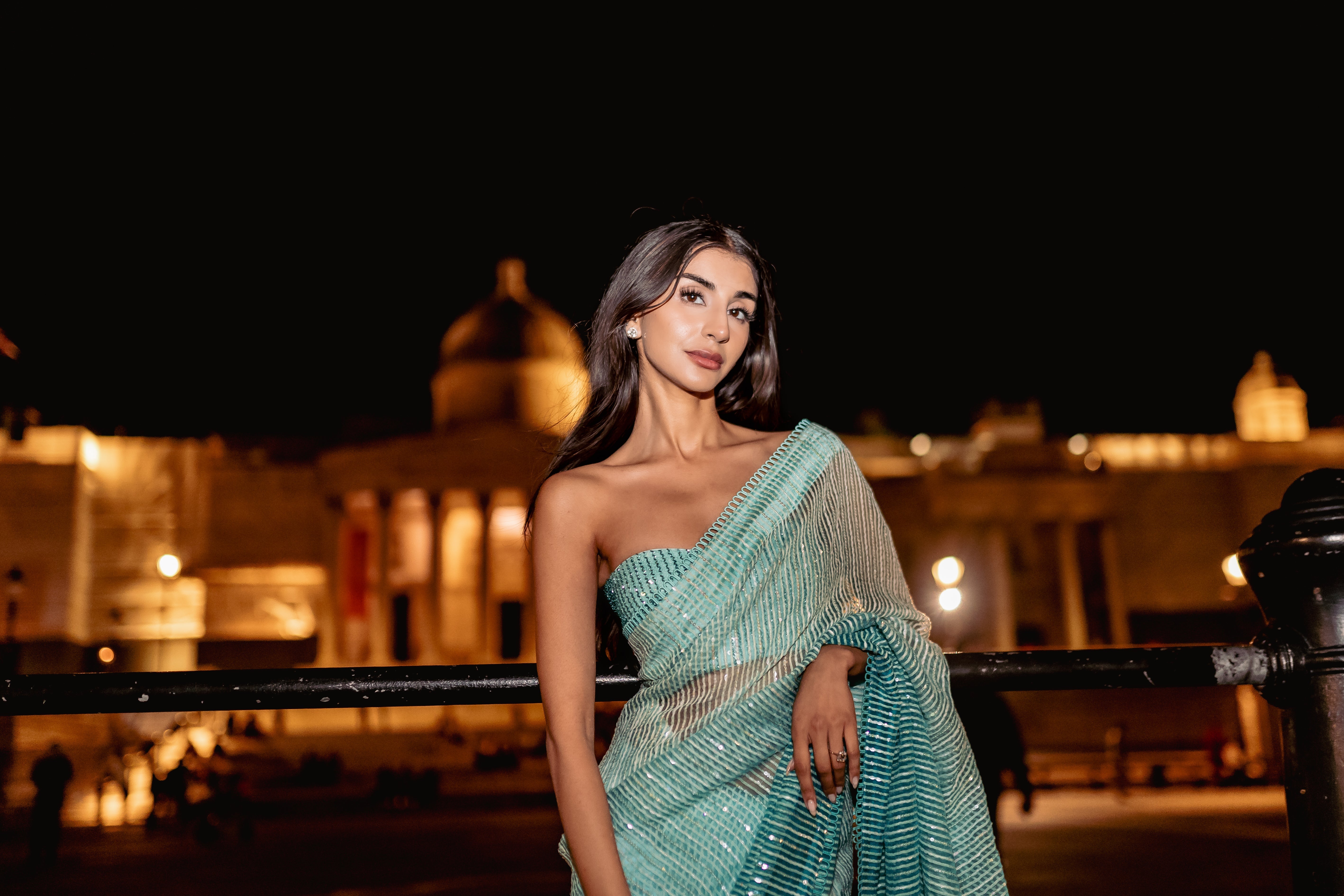 Sage green handloon organza saree