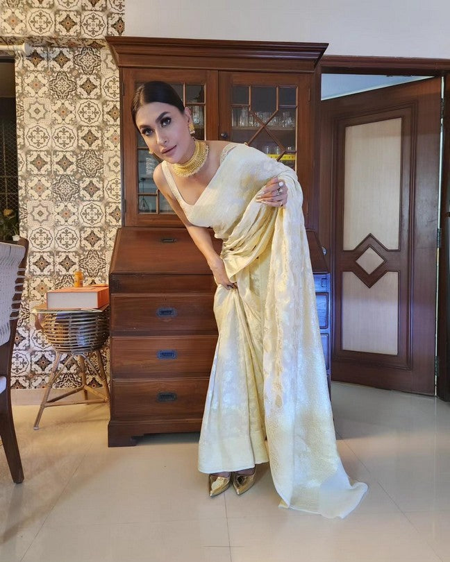 Cream Pure Khaddi georgette Banarasi handloom Saree