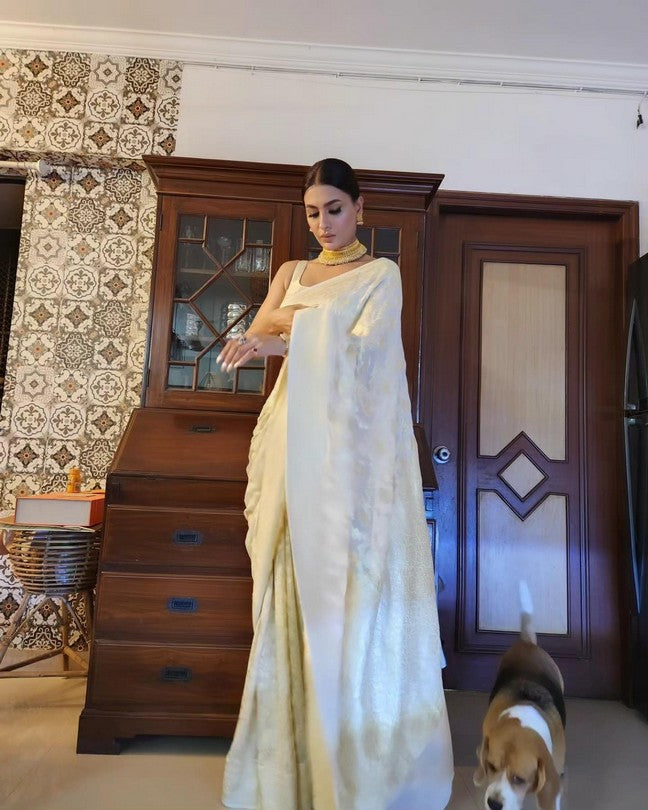 Cream Pure Khaddi georgette Banarasi handloom Saree