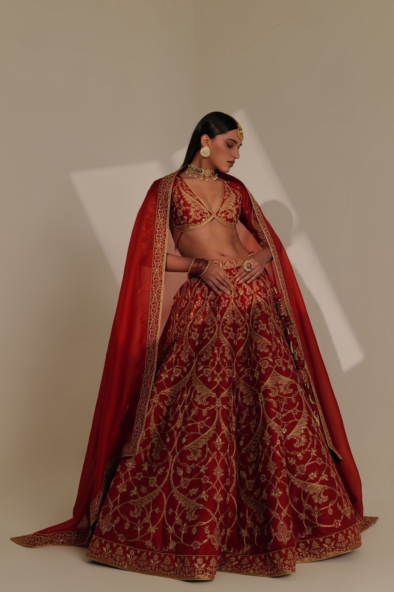 Katyayani : Goddess Parvati, Dressed in Red