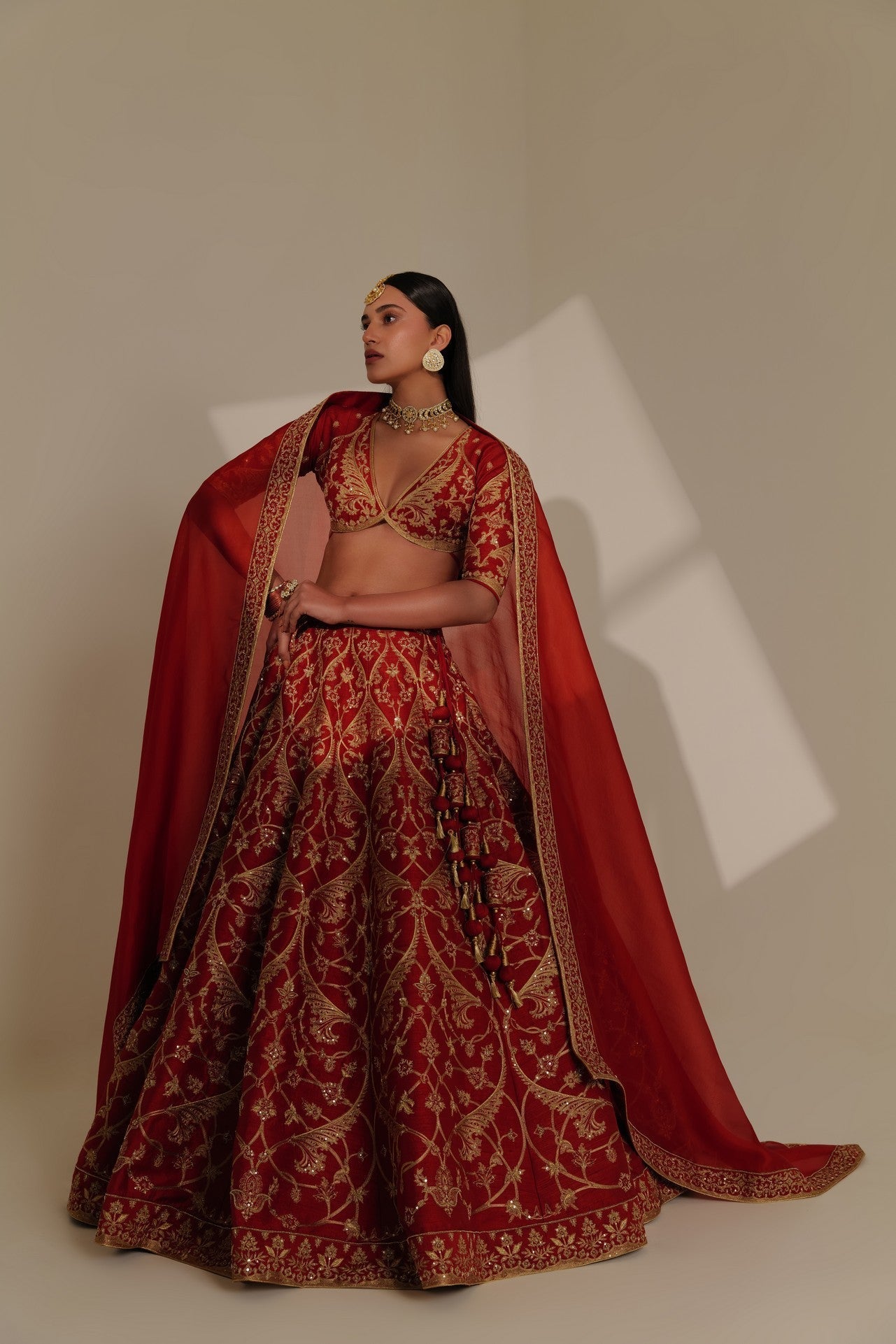 Katyayani : Goddess Parvati, Dressed in Red