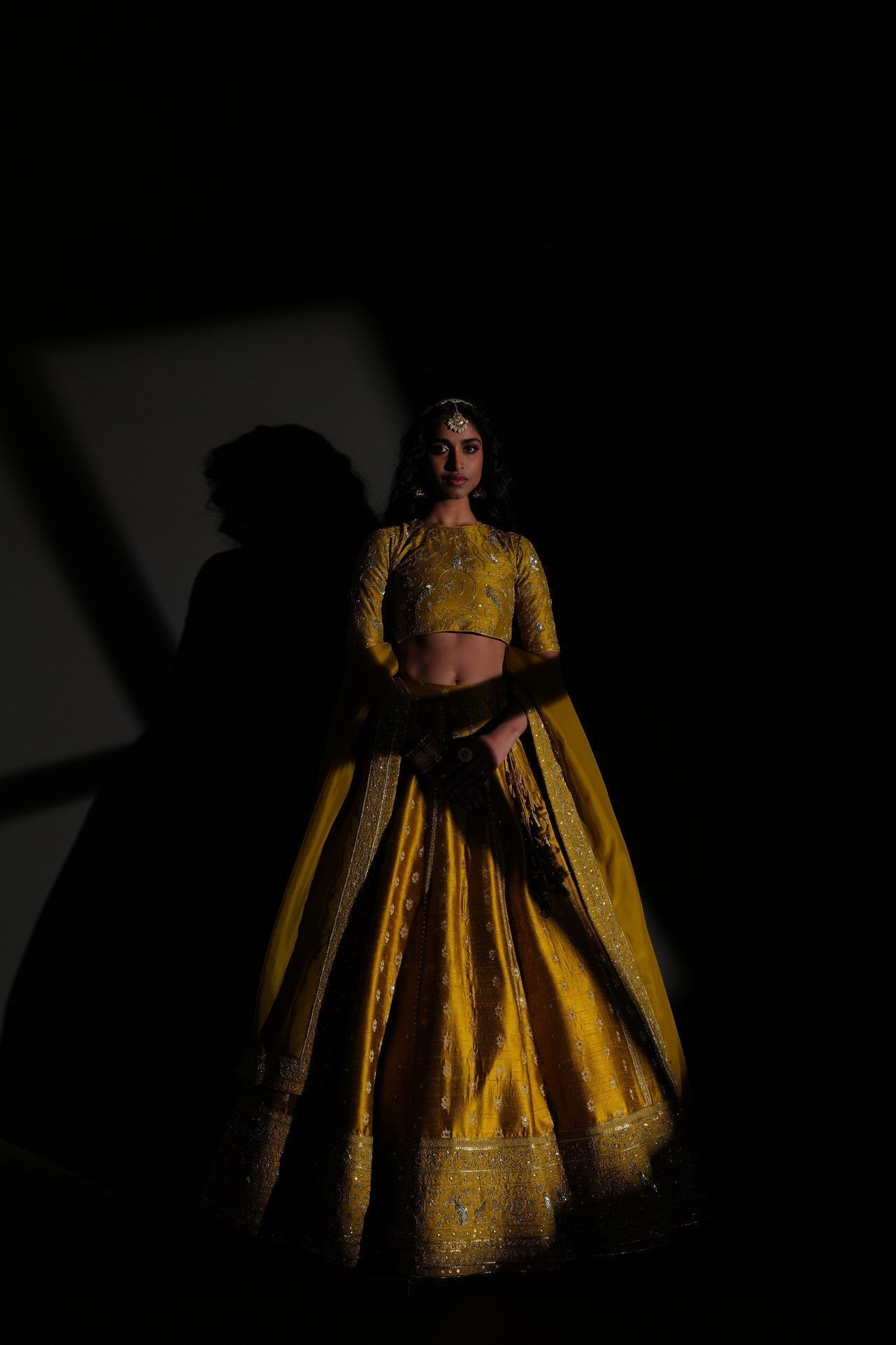 Sameena : A Dense Forest