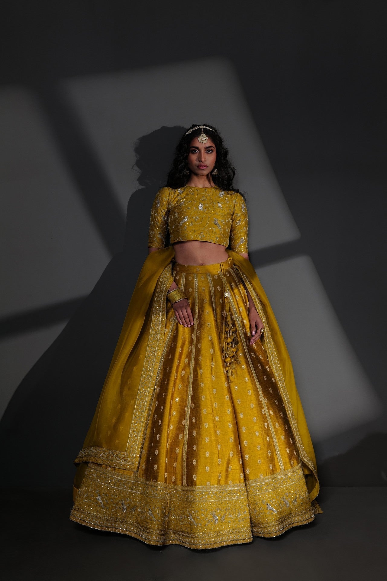 Sameena : A Dense Forest