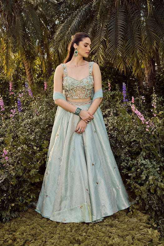 Soft Haze Lehenga Set