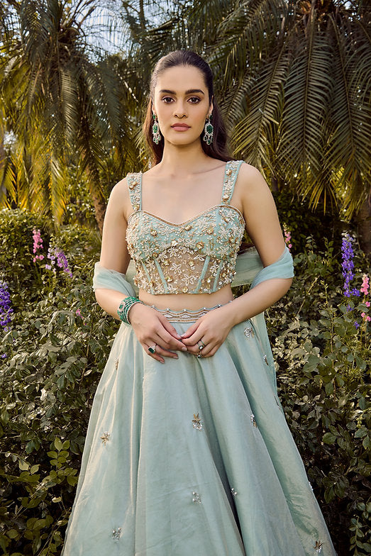 Soft Haze Lehenga Set