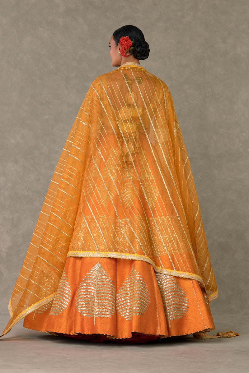 Rust 'Paan-Patti' Lehenga Set