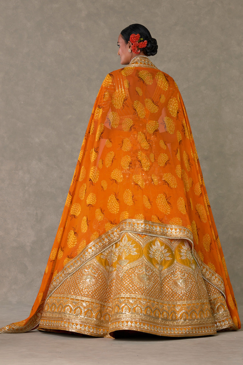 Rust Narangi-Bagh Lehenga Regular Price