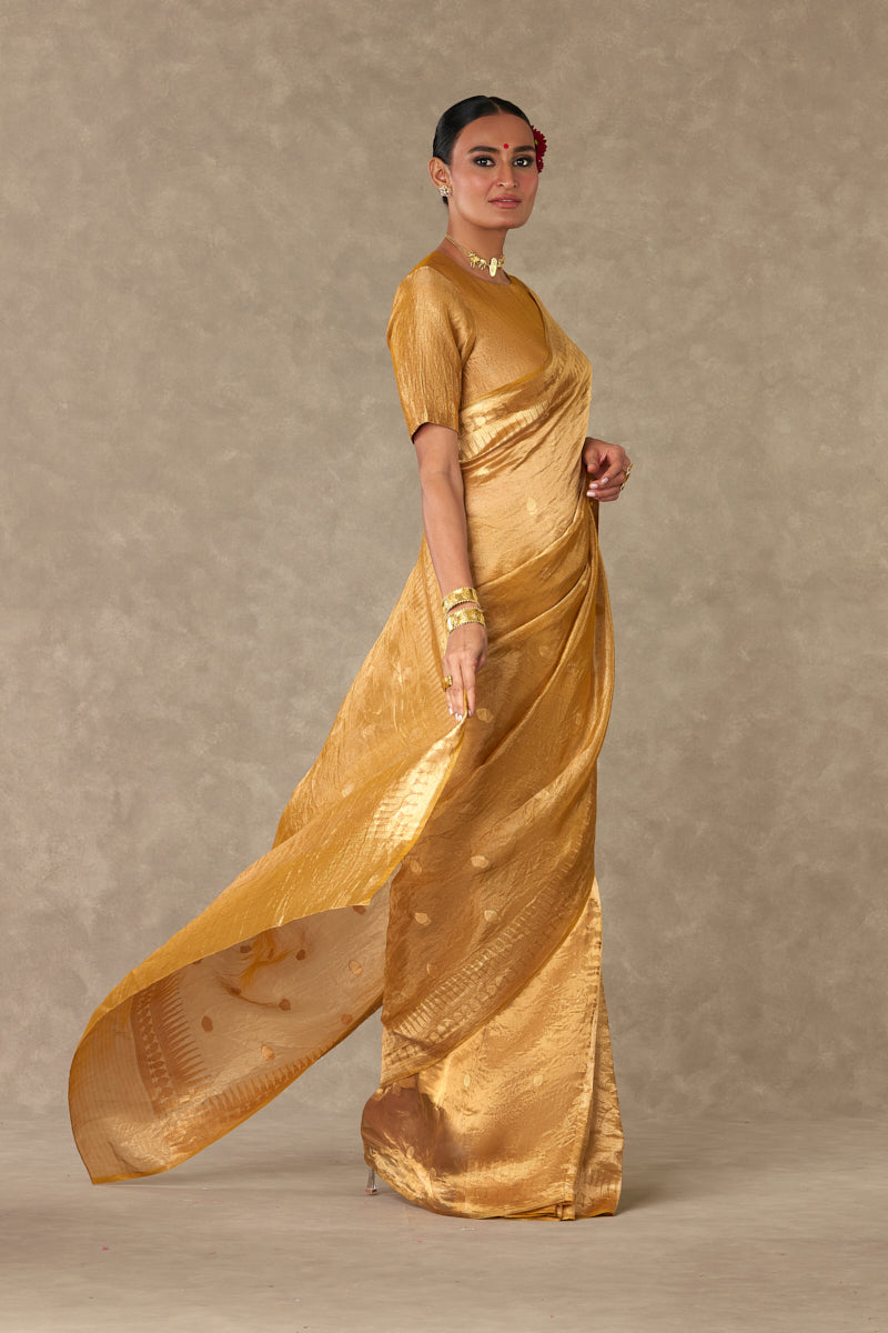 'Sunehri' Tissue Saree