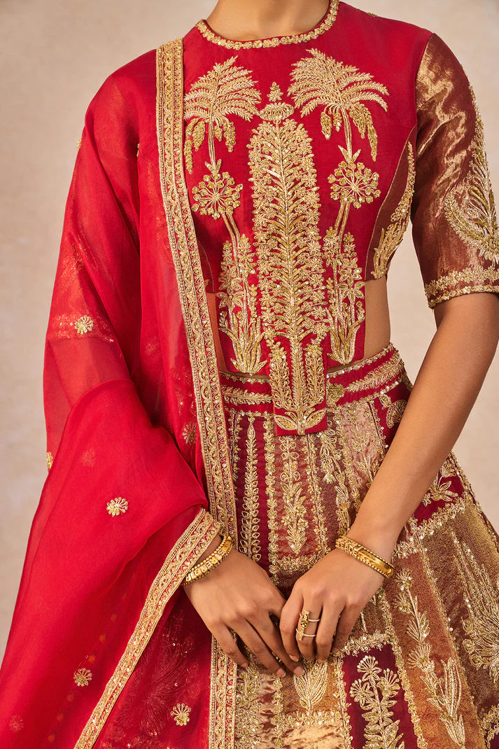 āDIL KE PASSā LEHENGA 1