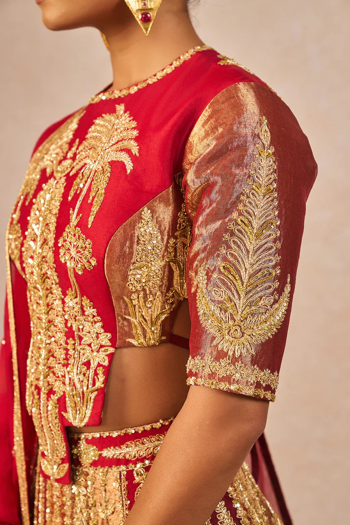 āDIL KE PASSā LEHENGA 1