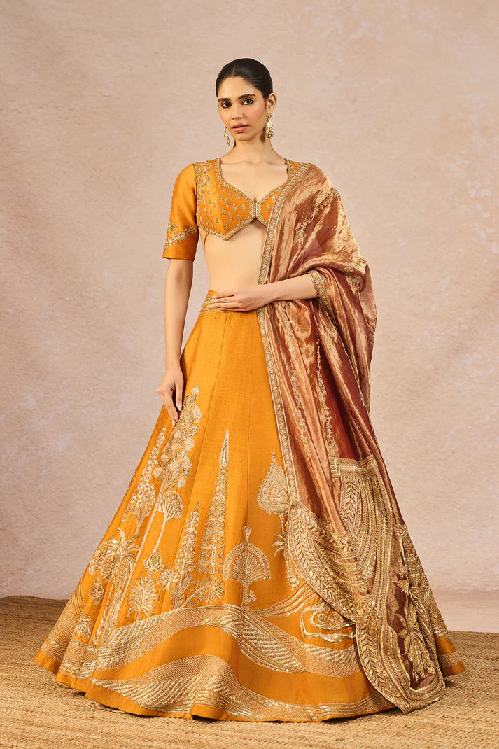 THE ‘DIL LUBHATA’ LEHENGA 2