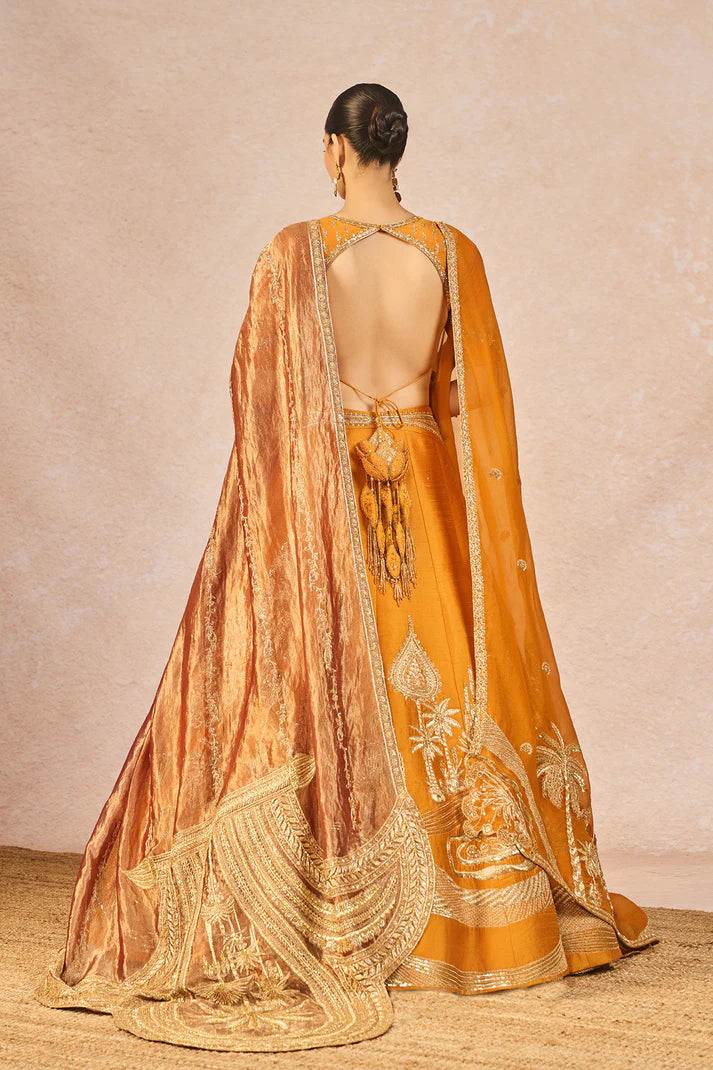 THE ‘DIL LUBHATA’ LEHENGA 1