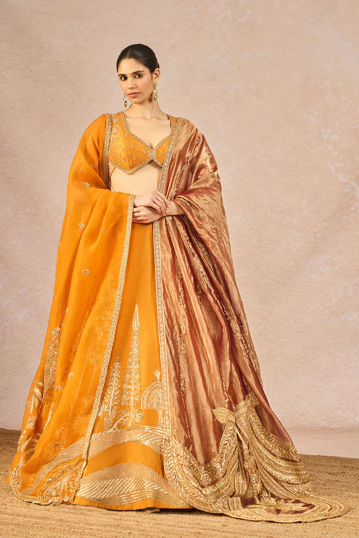 THE ‘DIL LUBHATA’ LEHENGA 2