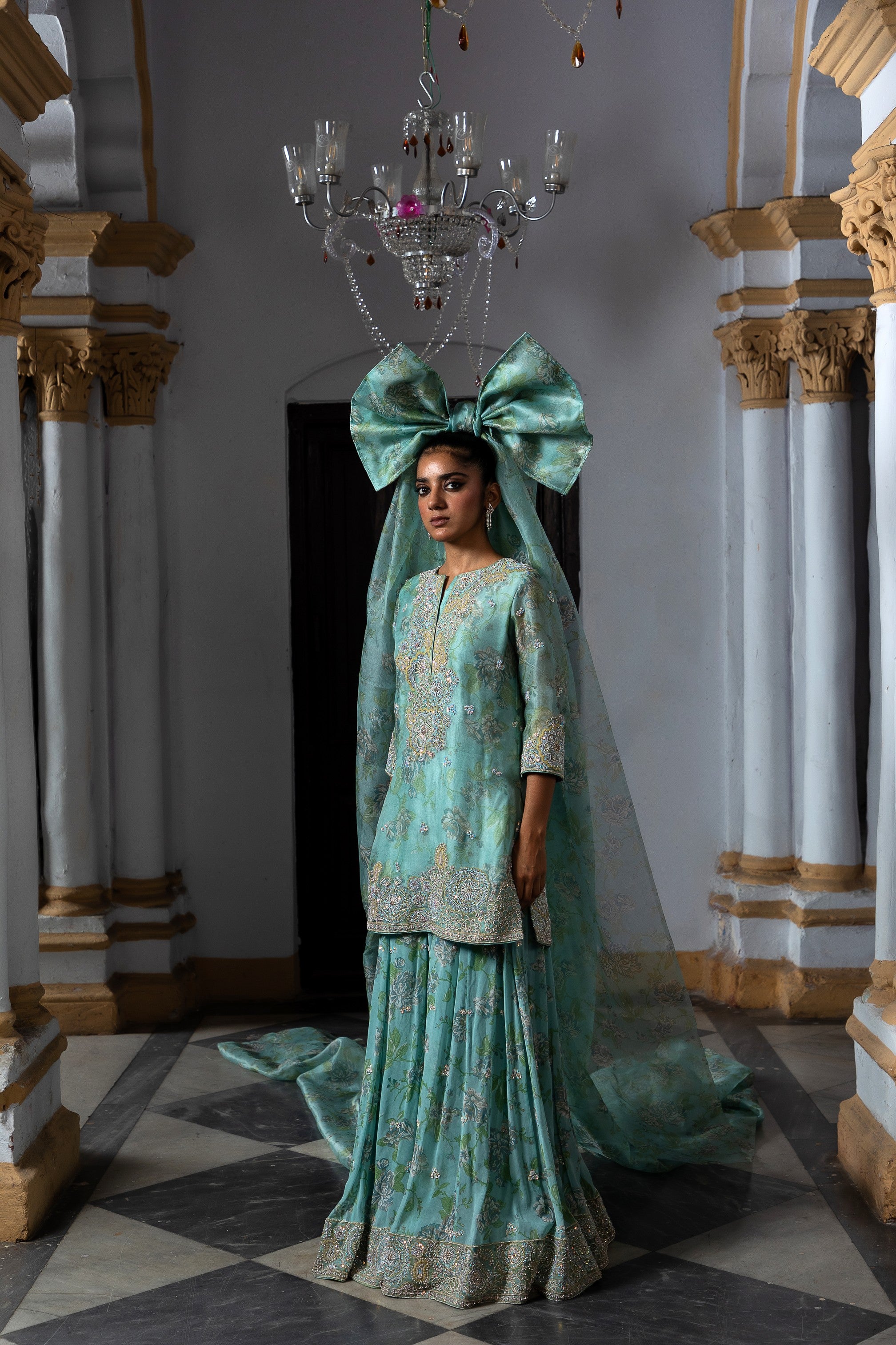 Organza Bliss Sharara Set