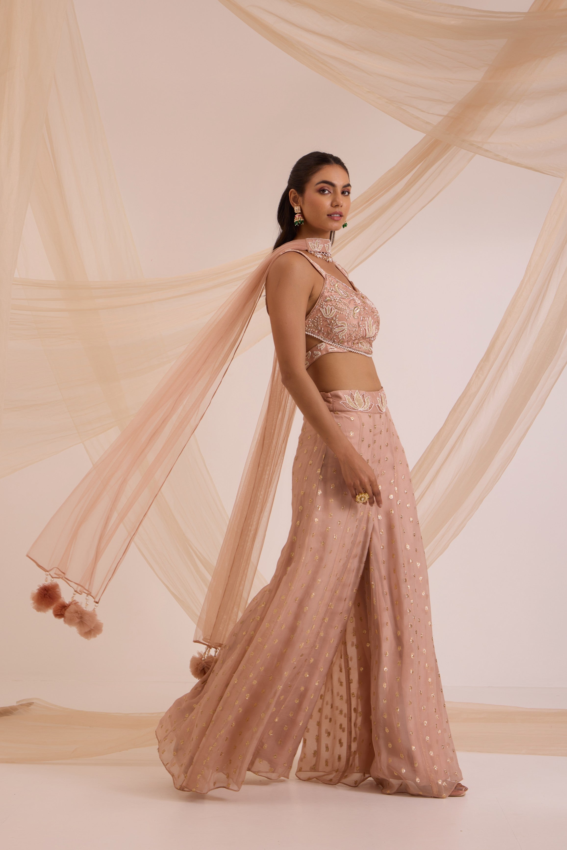 Sand crop top with sharara & chokar dupatta set