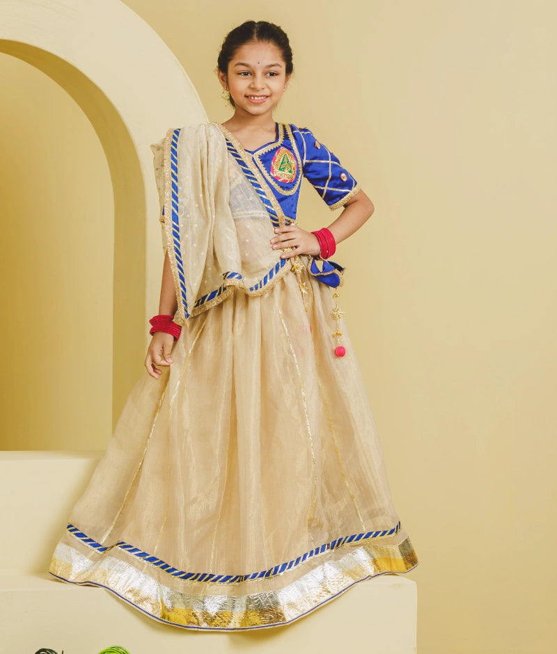 Blue Aangi Choli with Lehenga Set