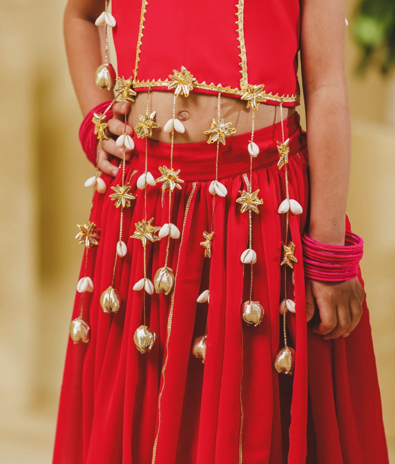 Pink Georgette Lehenga Choli Set